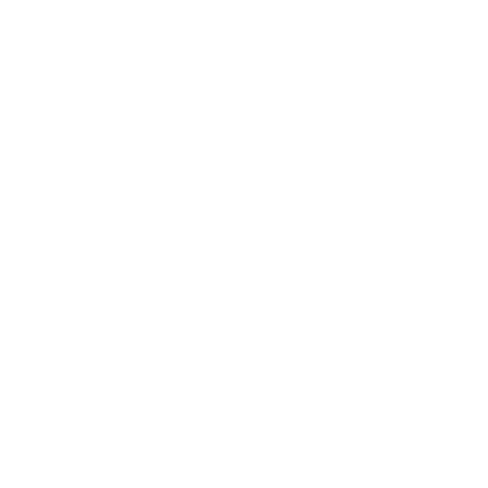 Boston FIG